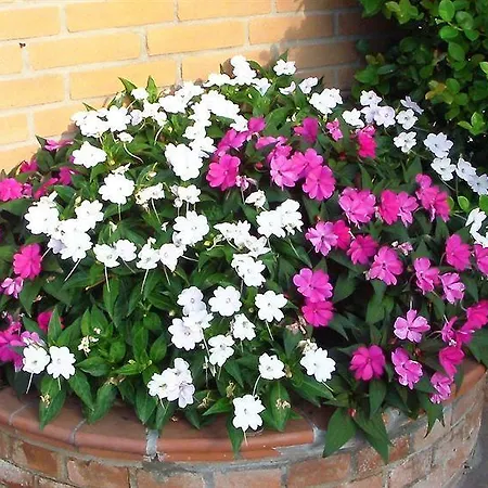 酒店 达维托酒店 3*